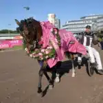 Världens snabbaste bästa häst till Rättvik? allegiant segerdefilerar 1440x1034 jpg