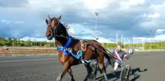 Inför V85 KALMAR: Från bragd till plattmatch – nu ska frågetecknen rätas ut barack face segerdefilering 1440x960 jpg