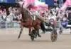 Inför V86: Persson tror på Baron Tilly – men varnar för små minusfaktorer baron tilly heat 1440x960 jpg