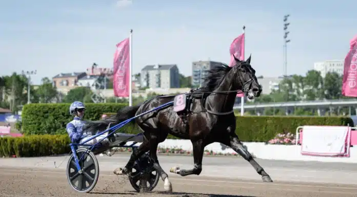 Kanonläge för Borups Victory i Oslo Grand Prix borups victory heat 1440x960 jpg (1)