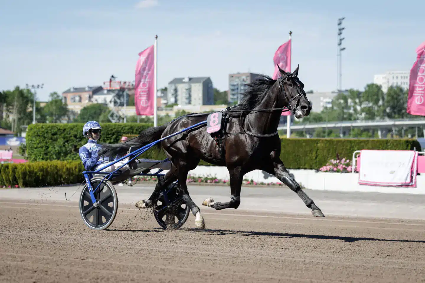 borups victory heat 1440x960 jpg (1)