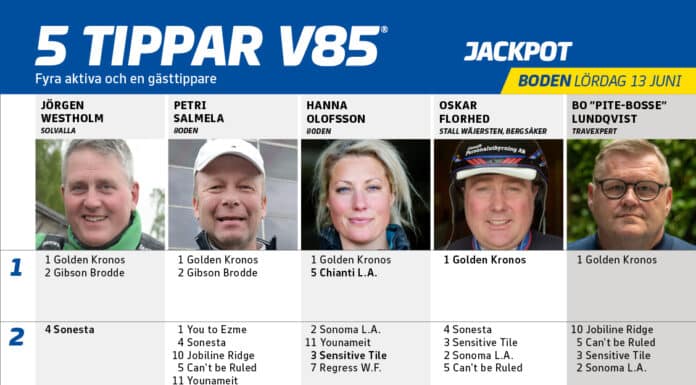 5 Tippar V85 till BODEN 13 juni 2026 5 Tippar V85 till BODEN 13 juni 2026