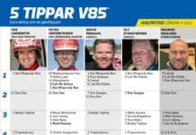 Fem tippar V85 till HALMSTAD 4 juli 2026