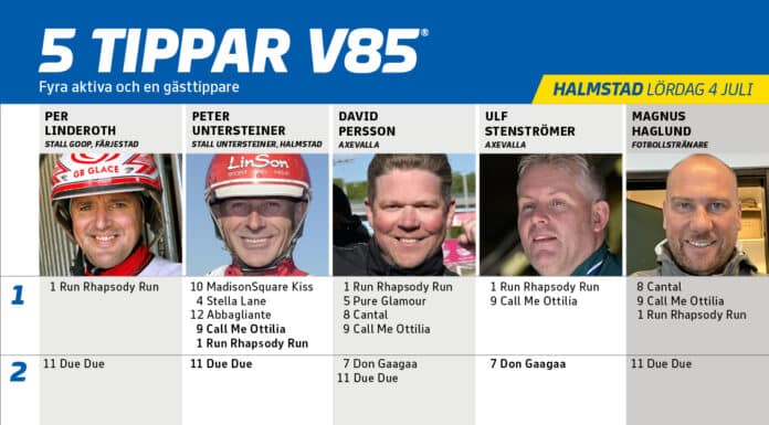 Fem tippar V85 till HALMSTAD 4 juli 2026 Fem tippar V85 till HALMSTAD 4 juli 2026