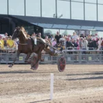 Listor och tider från elitloppshelgen golden boy mal 1440x960 jpg