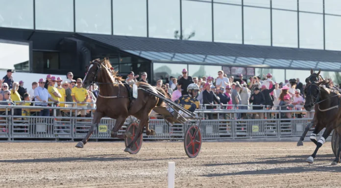 Listor och tider från elitloppshelgen golden boy mal 1440x960 jpg
