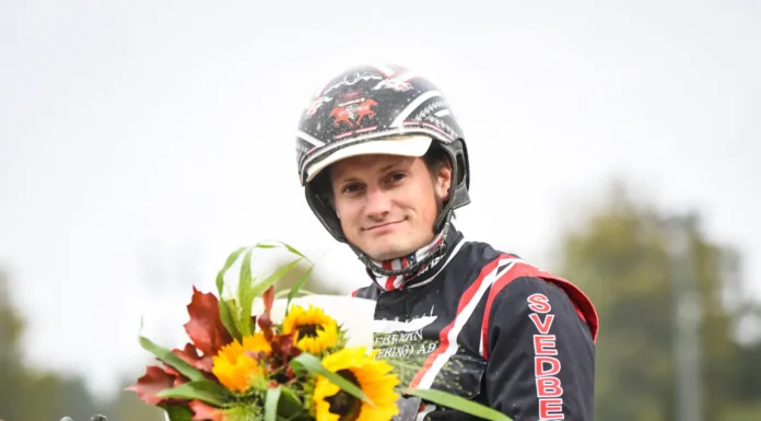 Inför V85 MANTORP: Stallformen pekar uppåt igen – Svedberg med kul kantbollar markus b svedberg 097 1440x1042 jpg