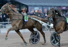 Inför V86: ”Vi ska ta Åmål med storm” ready for cash n.o mai l 1440x810 jpg