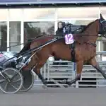 Inför V85 MANTORP: Maria Törnqvist låter optimistisk showtime zon 1440x954 jpg