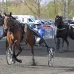 Inför V85 BJERKE: Tillbaka till fosterlandet med hett segerbud tiberius victory mal 1440x883 jpg