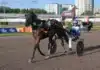 Inför V85 BERGSÅKER: Efter topprestationen – nu ska hon vara ännu bättre unforgettable a.y. segerdefilerar 1440x1008 jpg