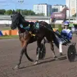 Inför V85 BERGSÅKER: Efter topprestationen – nu ska hon vara ännu bättre unforgettable a.y. segerdefilerar 1440x1008 jpg