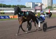Inför V85 BERGSÅKER: Efter topprestationen – nu ska hon vara ännu bättre unforgettable a.y. segerdefilerar 1440x1008 jpg