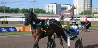 Inför V85 BERGSÅKER: Efter topprestationen – nu ska hon vara ännu bättre unforgettable a.y. segerdefilerar 1440x1008 jpg