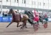 Resultat & eftersnack V85 HALMSTAD 4 juli 2026 boscha diablo malgang 1440x960 jpg