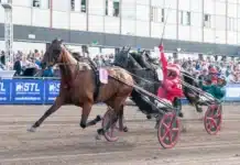 Resultat & eftersnack V85 HALMSTAD 4 juli 2026 boscha diablo malgang 1440x960 jpg