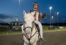 Inför V85 HALMSTAD Torsdag: Kan vinna Sprintermästaren för femte gången – på de senaste nio åren daniel reden rider 1440x960 jpg