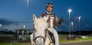 Inför V85 HALMSTAD Torsdag: Kan vinna Sprintermästaren för femte gången – på de senaste nio åren daniel reden rider 1440x960 jpg