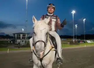 Inför V85 HALMSTAD Torsdag: Kan vinna Sprintermästaren för femte gången – på de senaste nio åren daniel reden rider 1440x960 jpg