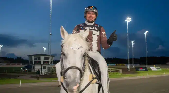 Inför V85 HALMSTAD Torsdag: Kan vinna Sprintermästaren för femte gången – på de senaste nio åren daniel reden rider 1440x960 jpg