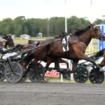 Inför V85 AXEVALLA (söndag): Martinsson har två möjligheter i Stochampionatet dats bella mal 1440x960 jpg