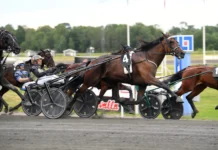 Inför V85 AXEVALLA (söndag): Martinsson har två möjligheter i Stochampionatet dats bella mal 1440x960 jpg