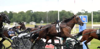 Inför V85 AXEVALLA (söndag): Martinsson har två möjligheter i Stochampionatet dats bella mal 1440x960 jpg