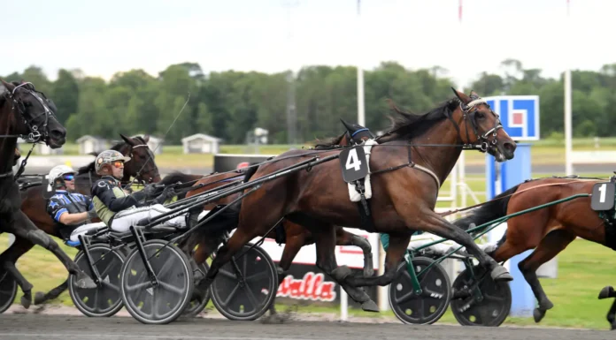 Inför V85 AXEVALLA (söndag): Martinsson har två möjligheter i Stochampionatet dats bella mal 1440x960 jpg