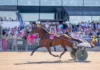 Dream Mine till Menhammar – tar sikte mot Prix d’Amérique dream mine solvalla 2026 1440x960 jpg