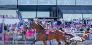 Dream Mine till Menhammar – tar sikte mot Prix d’Amérique dream mine solvalla 2026 1440x960 jpg