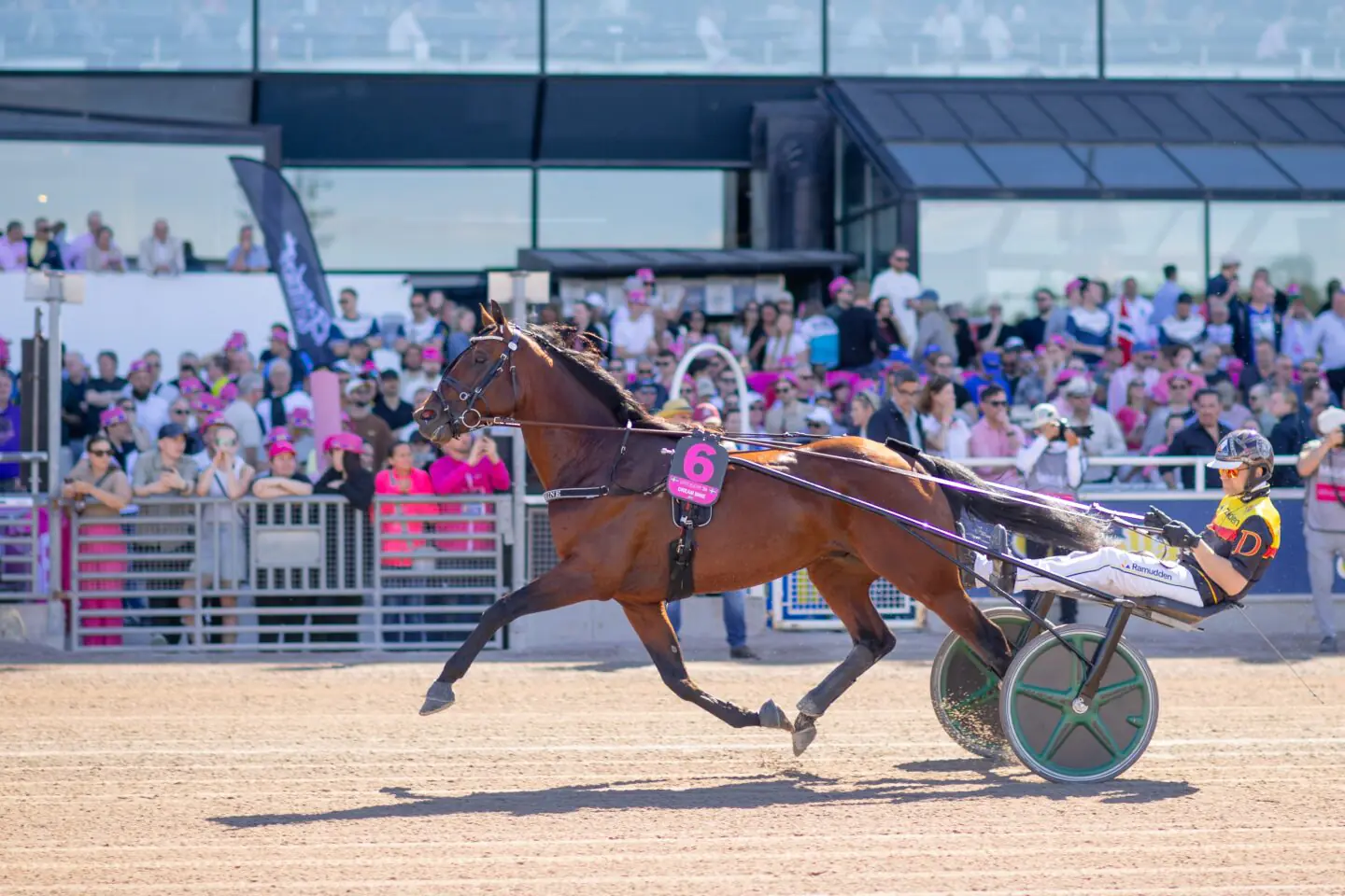 dream mine solvalla 2026 1440x960 jpg
