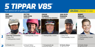 Fem tippar V85 till ÅRJÄNG 11 juli 2026 Fem tippar V85 till ÅRJÄNG 11 juli 2026