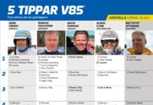 Fem Tippar V85® Axevalla 18 juli