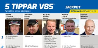 Fem tippar V85 BOLLNÄS 25 juli 2026 Fem tippar V85 BOLLNÄS 25 juli 2026