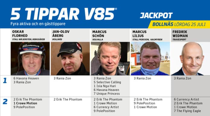 Fem tippar V85 BOLLNÄS 25 juli 2026