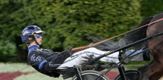 Inför V85 HALMSTAD: Plassen bäst i klassen fredrik plassen i lopp 2 1440x977 jpg