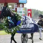 Resultat & eftersnack V85 ÅRJÄNG 11 juli 2026 gio cash def 1440x976 jpg