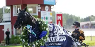 Resultat & eftersnack V85 ÅRJÄNG 11 juli 2026 gio cash def 1440x976 jpg