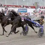 Inför V85 ÅRJÄNG: ”Gio Cash kommer att göra en topprestation – det är bara att gasa” gio cash mal 1440x949 jpg