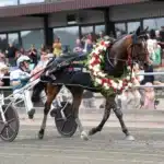 Prestigekampen för fyraåriga ston – så avgörs uttagningarna till Stochampionatet la yuca segerdef 73 1440x1027 jpg