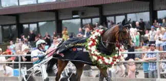 Prestigekampen för fyraåriga ston – så avgörs uttagningarna till Stochampionatet la yuca segerdef 73 1440x1027 jpg