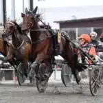 Resultat & eftersnack V85 och Stochampionatet 2026 pure athena mal 1440x901 jpg