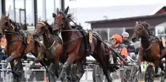 Resultat & eftersnack V85 och Stochampionatet 2026 pure athena mal 1440x901 jpg