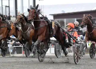 Resultat & eftersnack V85 och Stochampionatet 2026 pure athena mal 1440x901 jpg