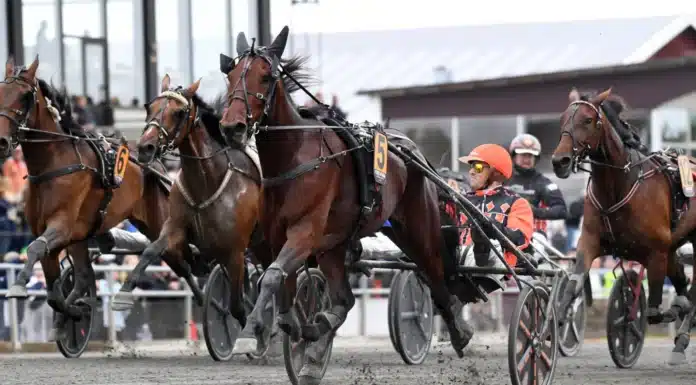 Resultat & eftersnack V85 och Stochampionatet 2026 pure athena mal 1440x901 jpg