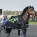 Inför V86: Ny Zargo-show på hemmabanan efter succén i Boden? zargo segerdef boden 1440x960 jpg