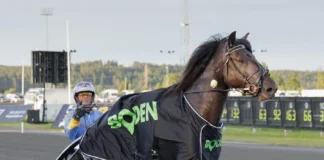 Inför V86: Ny Zargo-show på hemmabanan efter succén i Boden? zargo segerdef boden 1440x960 jpg