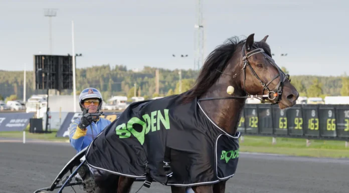 Inför V86: Ny Zargo-show på hemmabanan efter succén i Boden? zargo segerdef boden 1440x960 jpg