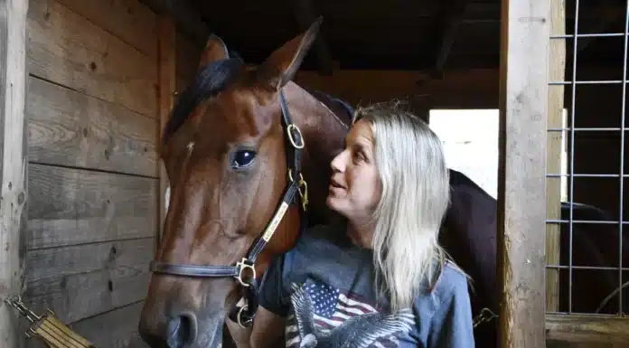 Blågul prägel på Hambletonian – försökssegrar till Lorentzon och Melander anette lorentzon 1 1440x960 jpeg