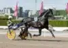 V85 statistik: Spetskoll inför BERGSÅKER b.w. sture heat 2 1440x961 jpg
